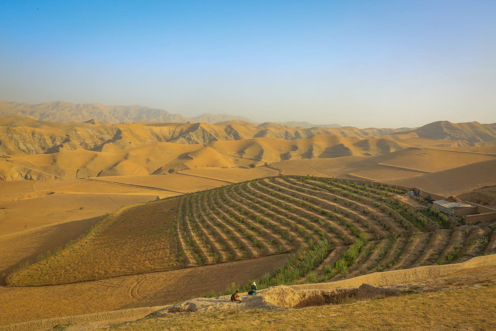 Afghan Rural Environment